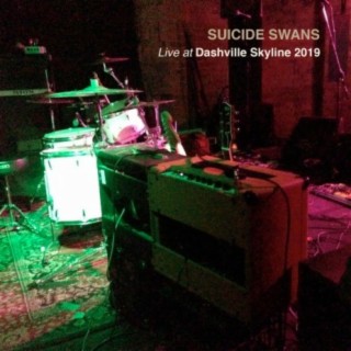 Suicide Swans