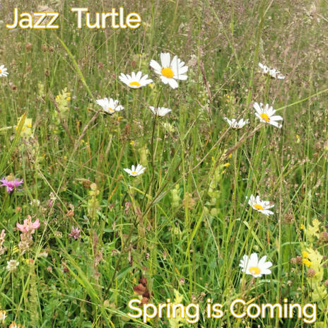 Spring is Coming | Boomplay Music