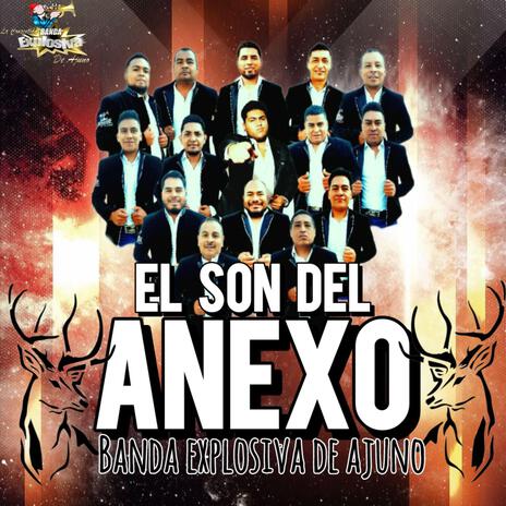 El Son Del Anexo | Boomplay Music