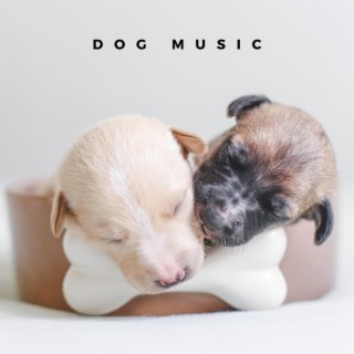 Comfort Music For Puppies