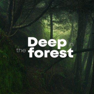 Deep In The Forest