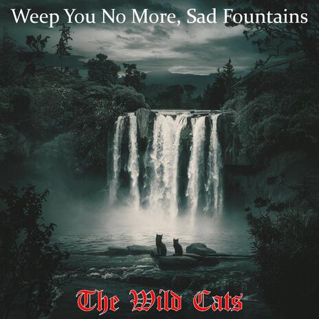 Weep You No More, Sad Fountains | Boomplay Music