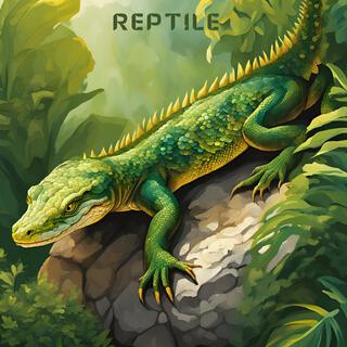 Reptile