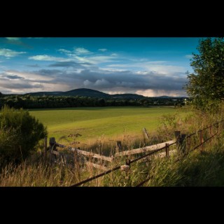 Traditional Irish Music