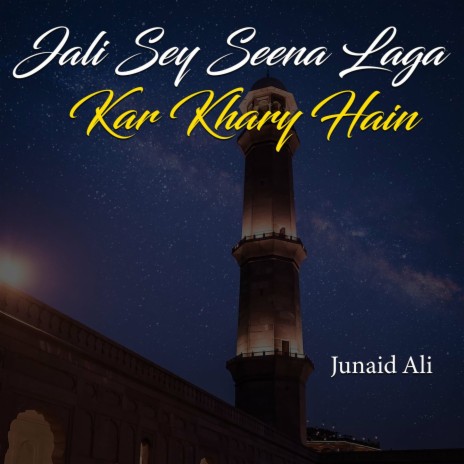 Jali Sey Seena Laga Kar Khary Hain | Boomplay Music