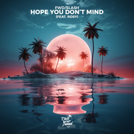 Hope You Don't Mind ft. ROSY | Boomplay Music
