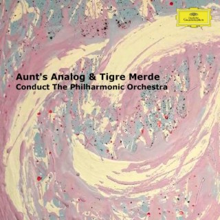 Aunt's Analog & Tigre Merde Conduct The Philharmonic Orchestra