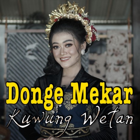 Donge Mekar | Boomplay Music