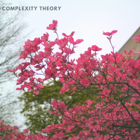 Complexity Theory | Boomplay Music
