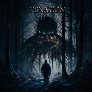 Vexation ft. Dmitry Kim lyrics | Boomplay Music