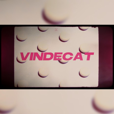 Vindecat | Boomplay Music