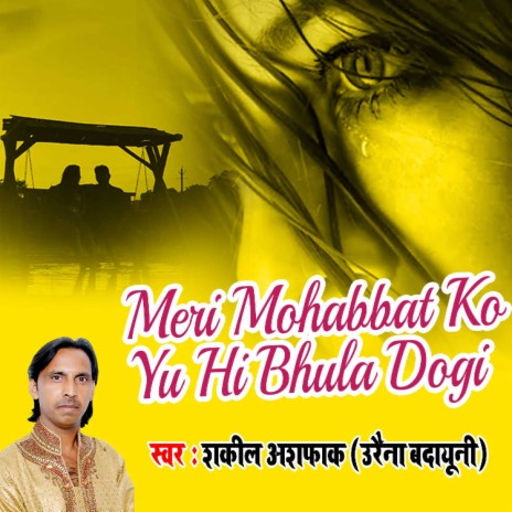 Meri Mohabbat Ko Yu Hi Bhula Dogi | Boomplay Music
