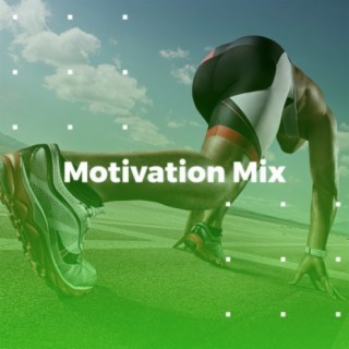 Motivation Mix