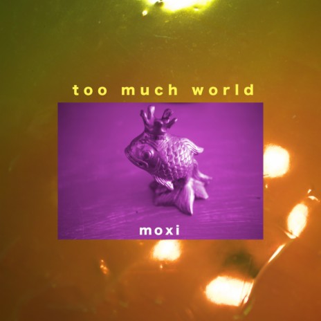Too Much World | Boomplay Music