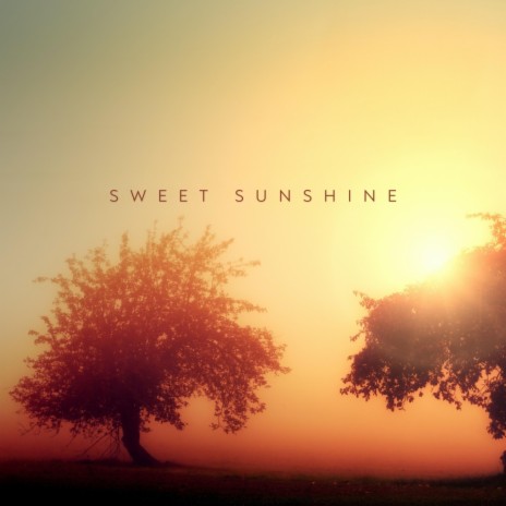 Sweet Sunshine ft. Griffin Konkler | Boomplay Music