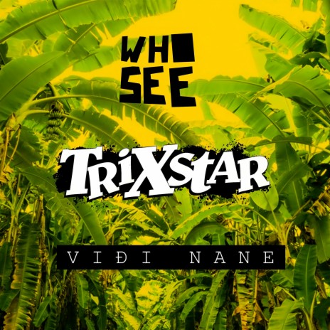 Viđi nane ft. TriXstar | Boomplay Music