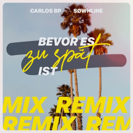 Bevor es zu spät ist (Remix) | Boomplay Music