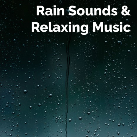 Nature Rain Sounds, Pt. 14 | Boomplay Music