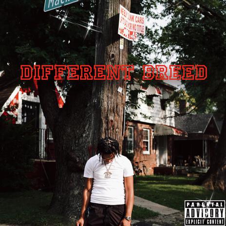 Different Breed | Boomplay Music