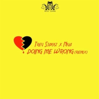 Doing Me Wrong (Remix)