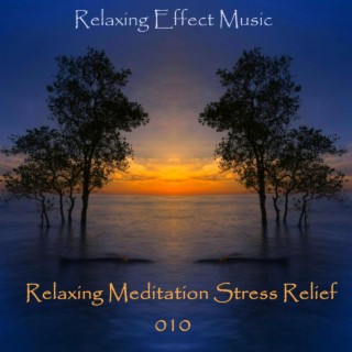 Calm Relaxing Meditation Stress Relief 010