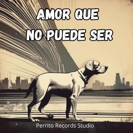 Amor que no puede ser | Boomplay Music