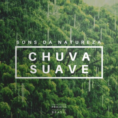 Sons da Natureza: Chuva Suave, Pt. 48 | Boomplay Music