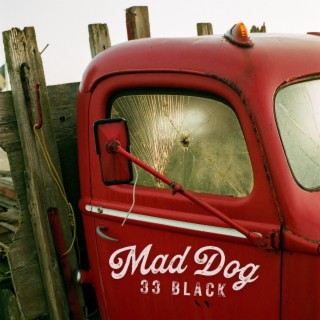 Mad Dog lyrics | Boomplay Music