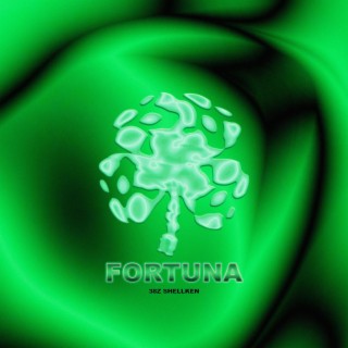 Fortuna ft. Shell Ken lyrics | Boomplay Music