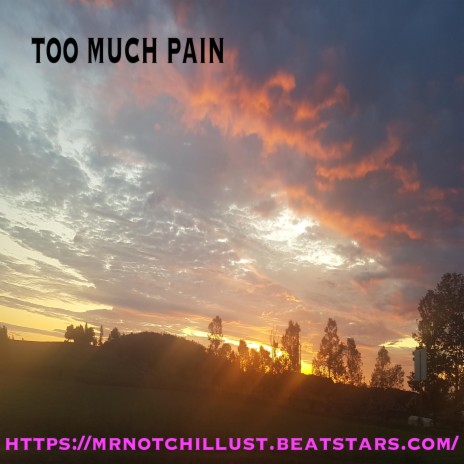 Too Much Pain Mr Notchillust Mp3 Download Too Much Pain Mr Notchillust Lyrics Boomplay Music