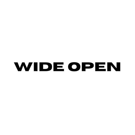 Wide Open | Boomplay Music