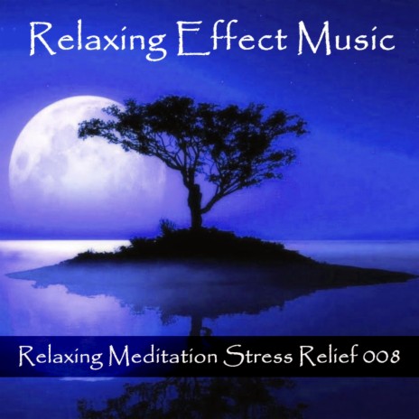 Calm Relaxing Meditation Stress Relief 008 | Boomplay Music
