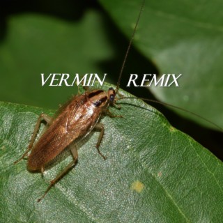 Silly Happy Vermin-Remix (Remix)