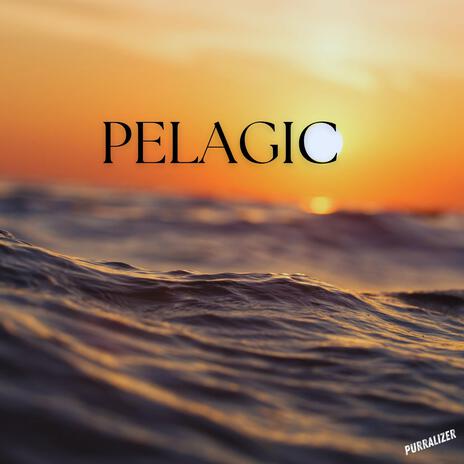 Pelagic | Boomplay Music