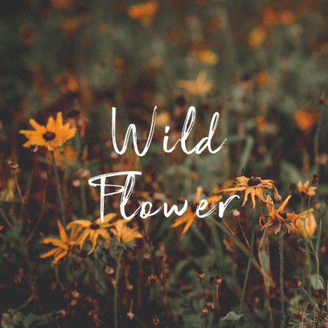 Wild Flower | Boomplay Music