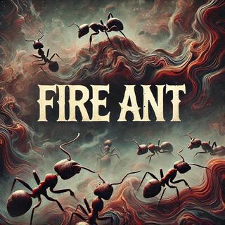 Fire Ant