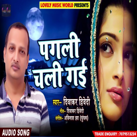 Pagali Chali Gai (Hindi)