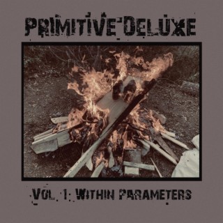 Vol. 1: Within Parameters