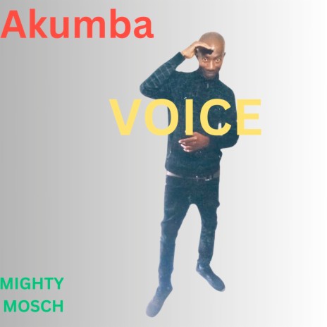 Voice ft. Akumba