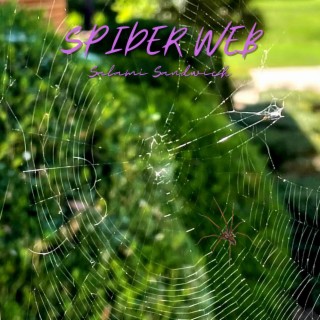 Spider Web