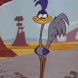 ROADRUNNER