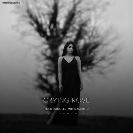 Crying Rose | Boomplay Music