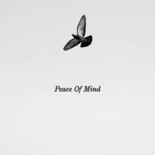 Peace Of Mind lyrics | Boomplay Music