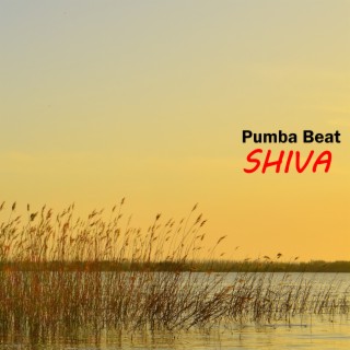 Pumba Beat