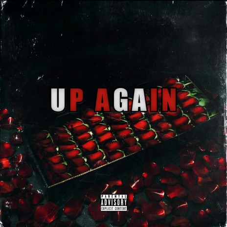 Up Again ft. Shakeel Dollie | Boomplay Music