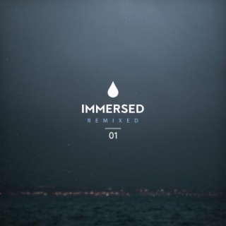 Immersed Remixed 01