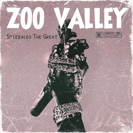 ZOO VALLEY | Boomplay Music