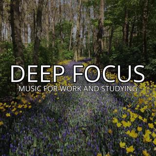 Deep Focus Music To Improve Concentration ~ 1 Hour of Ambient Study Music to Concentrate #786