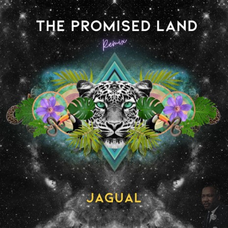 The Promised Land (Remix) | Boomplay Music