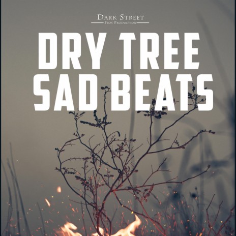 Dry Tree Sad Beats ft. Qbaloch Qb | Boomplay Music